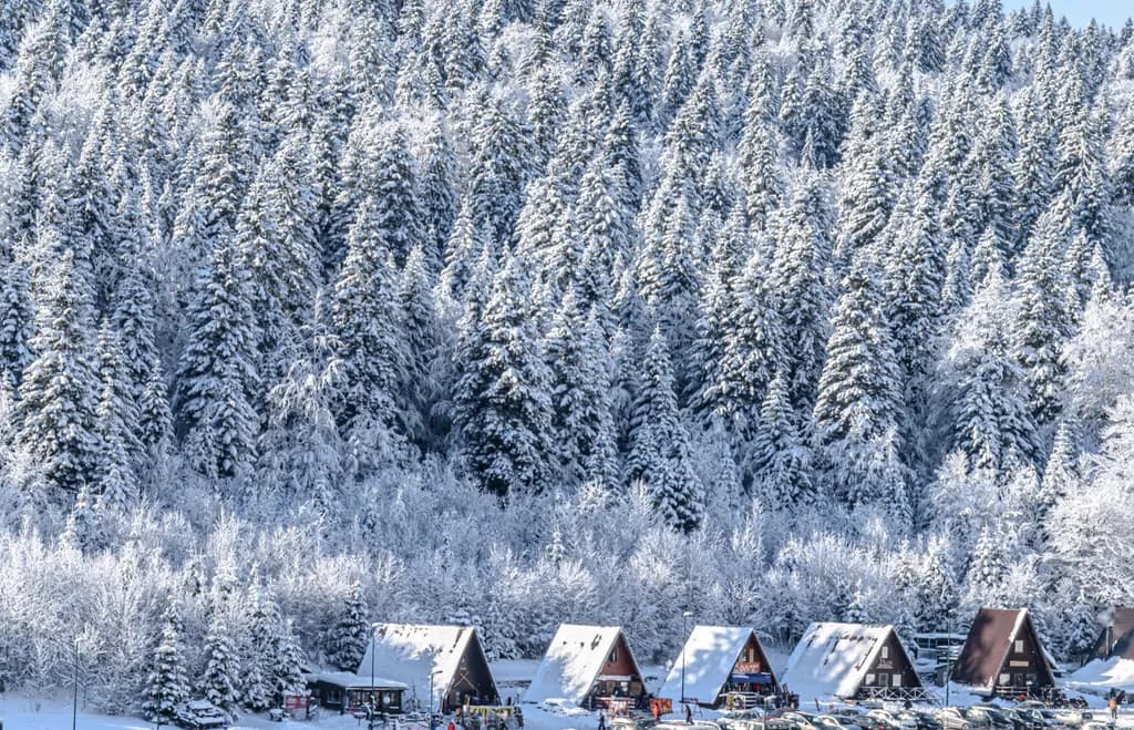 Snowy Forest Village