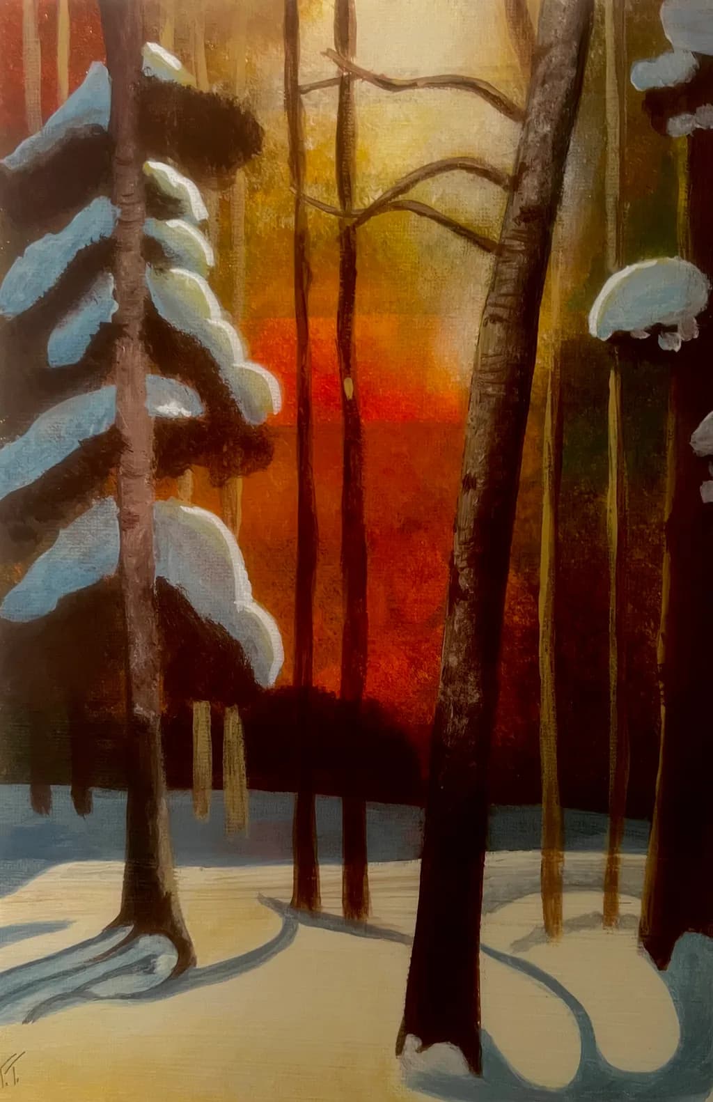 Winter Forest Sunset