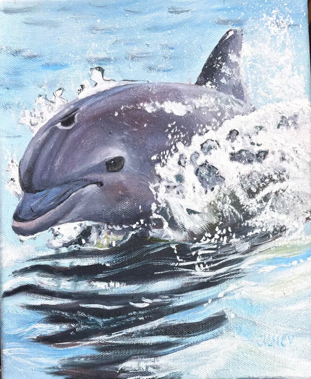 Dolphin Splash