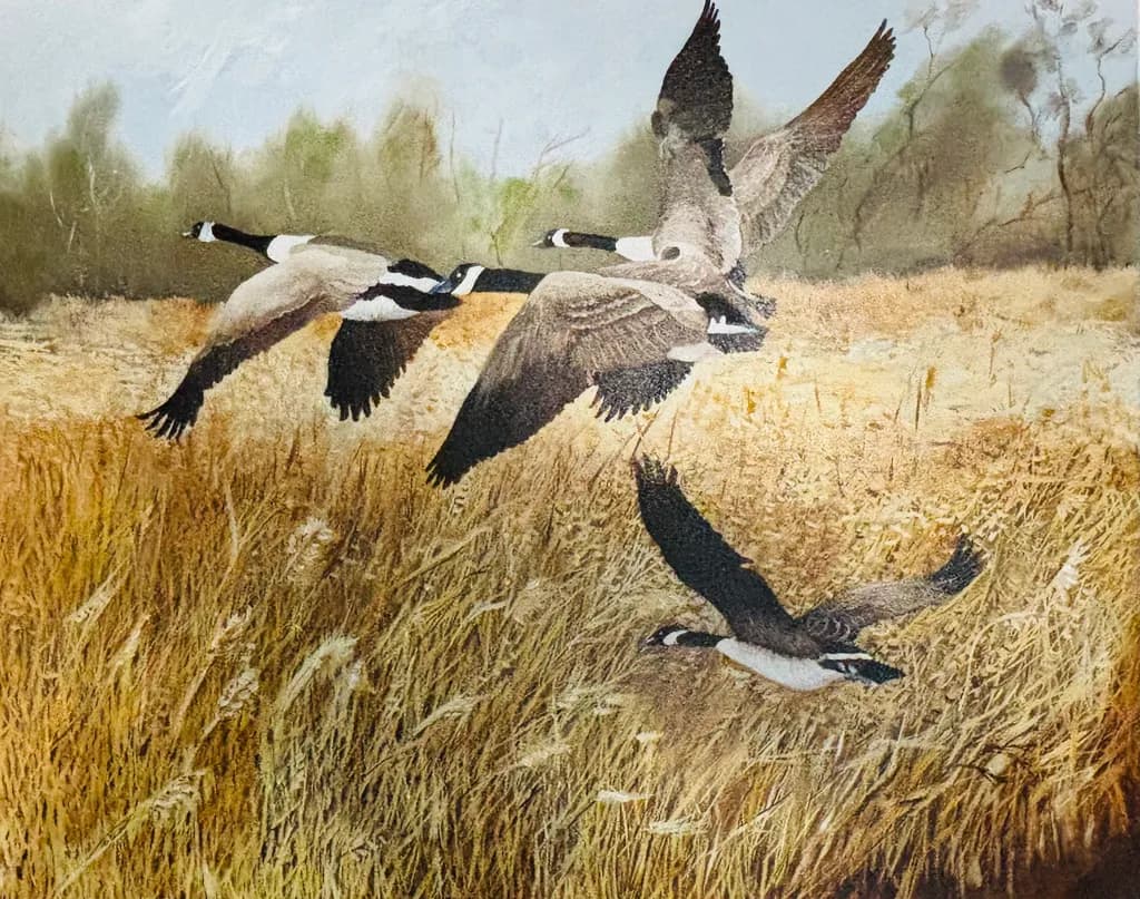 Headed South Geese