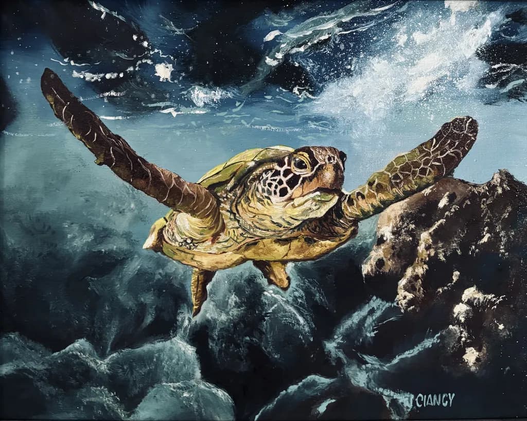 Turtle Cruising the Gulf