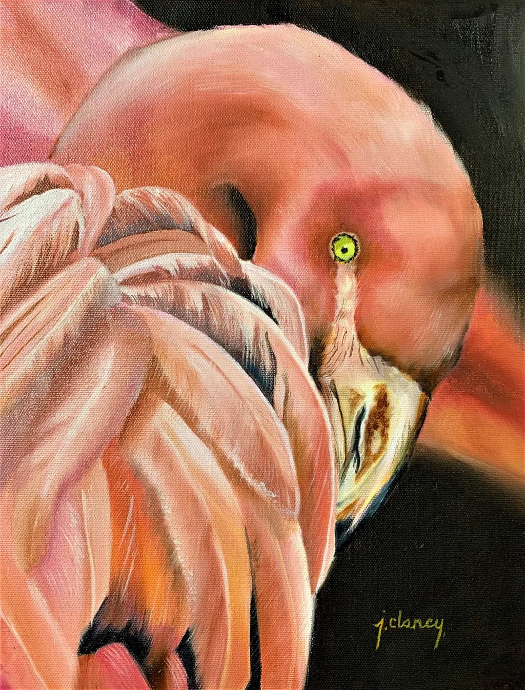 Flamingo Close-Up