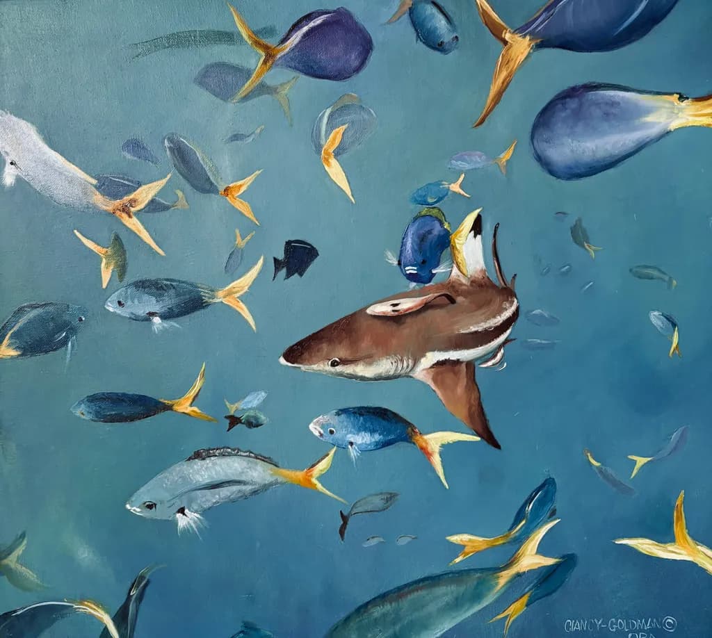 Palau Sea Life