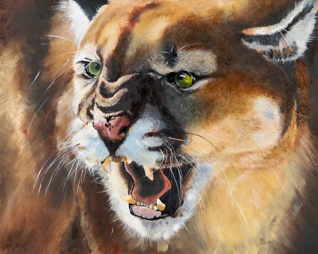 Florida Cougar Roar