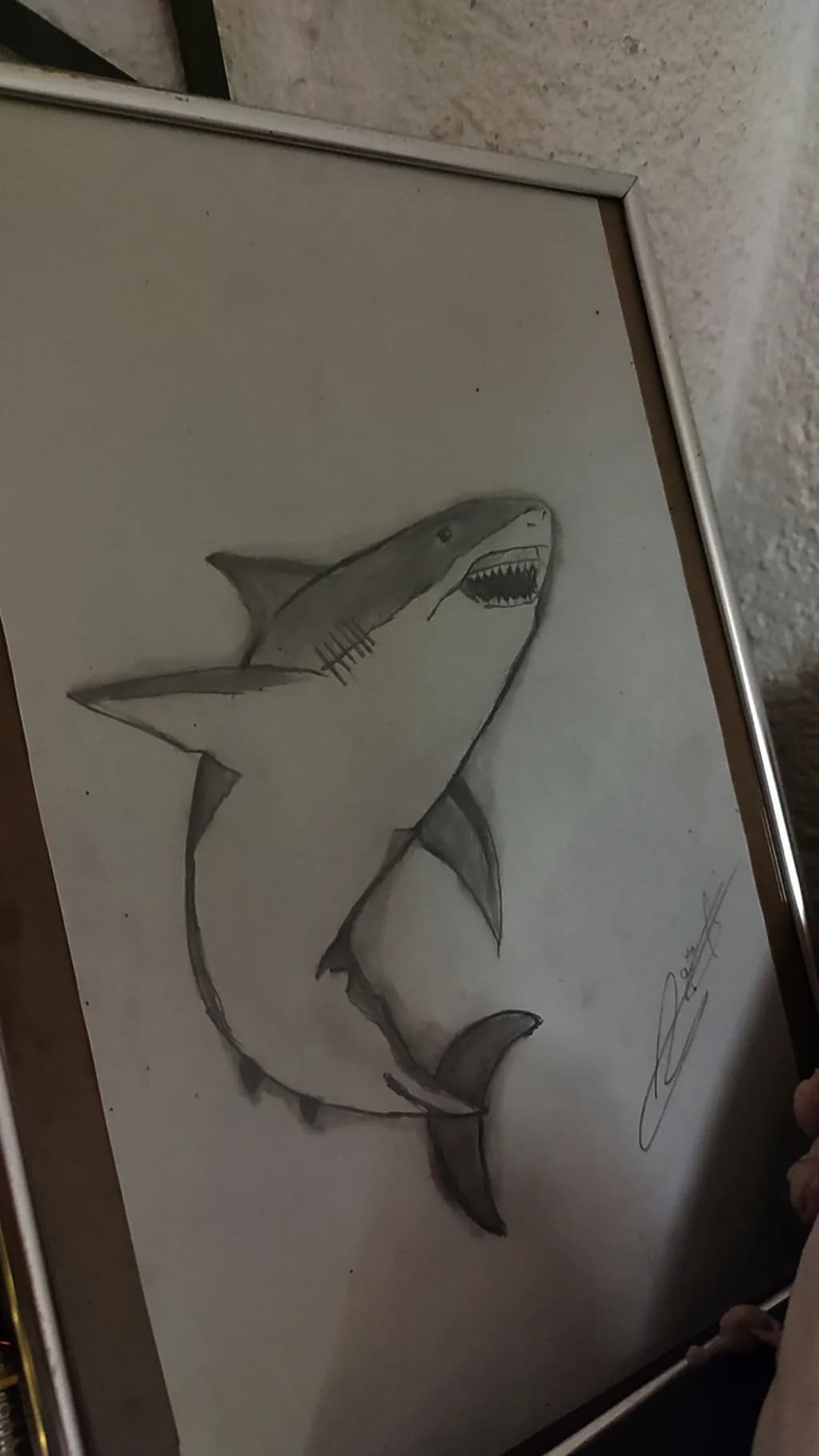 Inbound Shark