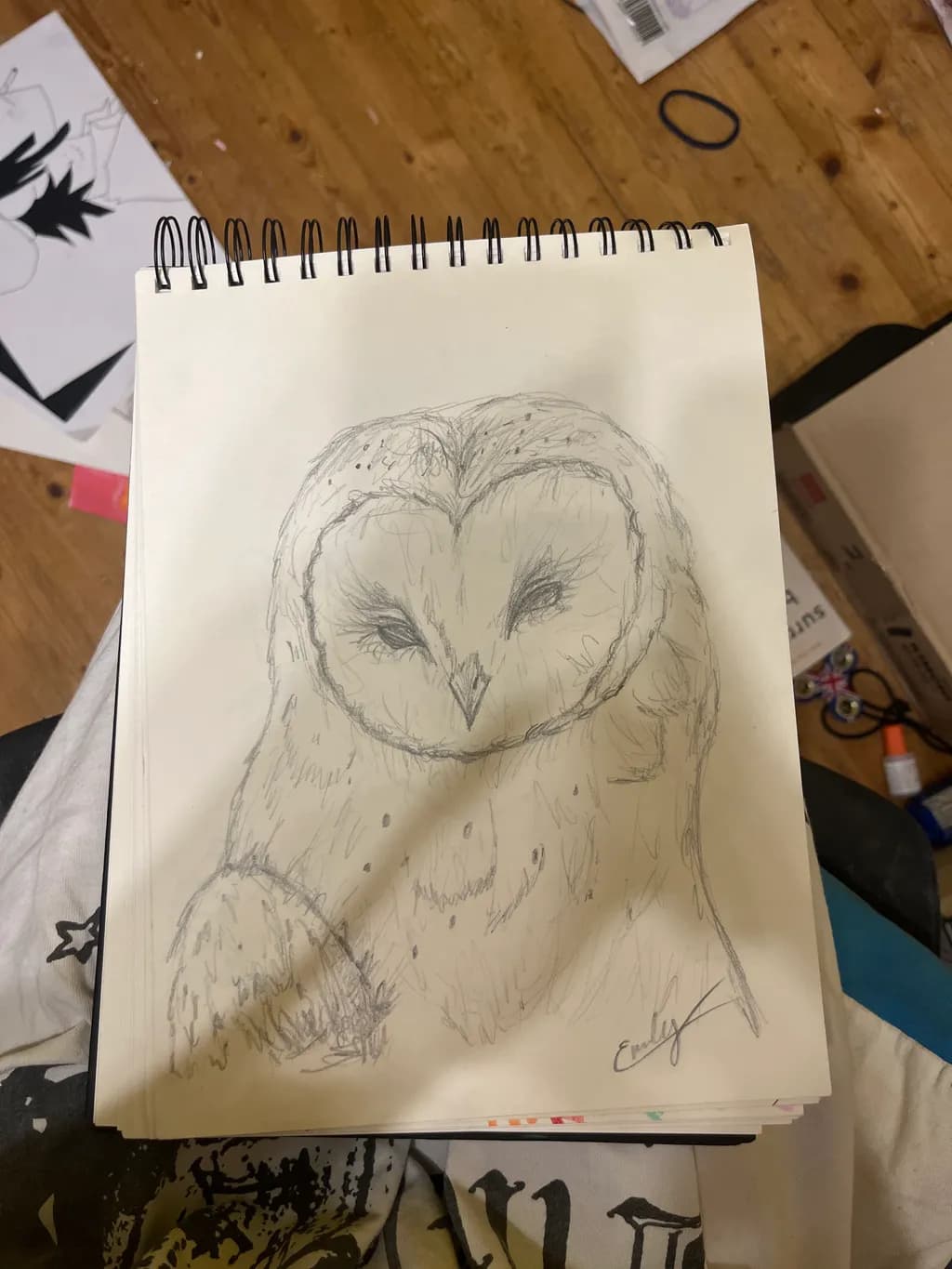 Barn Owl Sketch