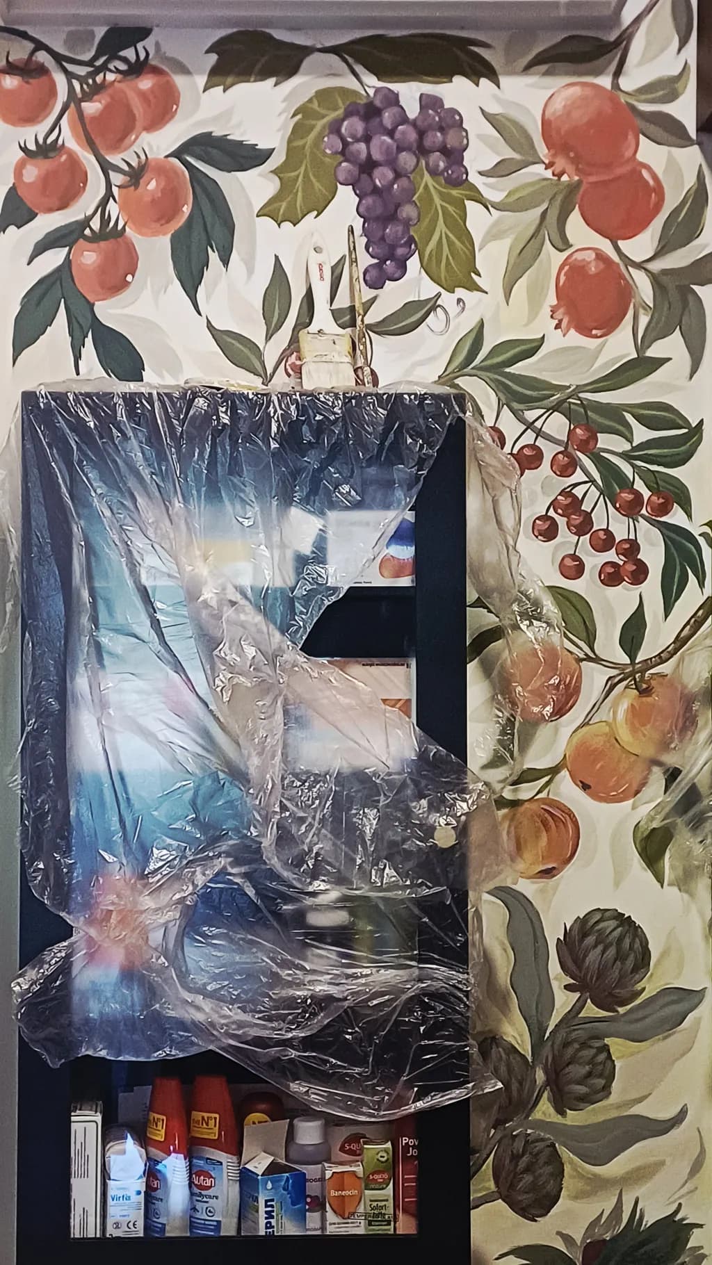 Medicine Cabinet Mural