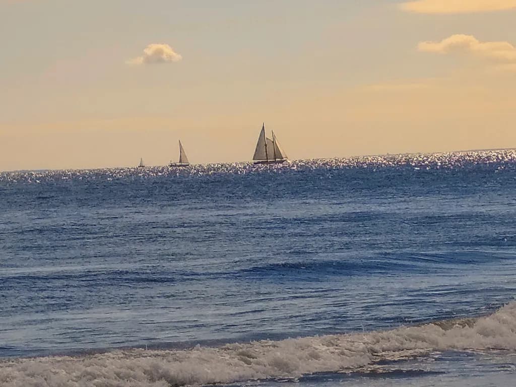 Ocean Sailboats Horizon
