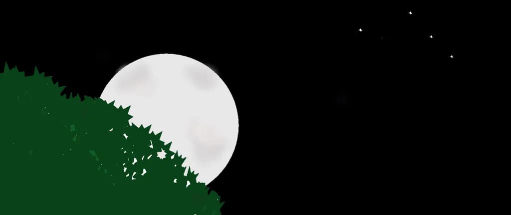 Clear Sky at Night