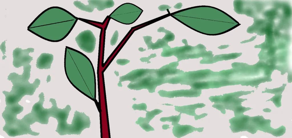 Growth Plant