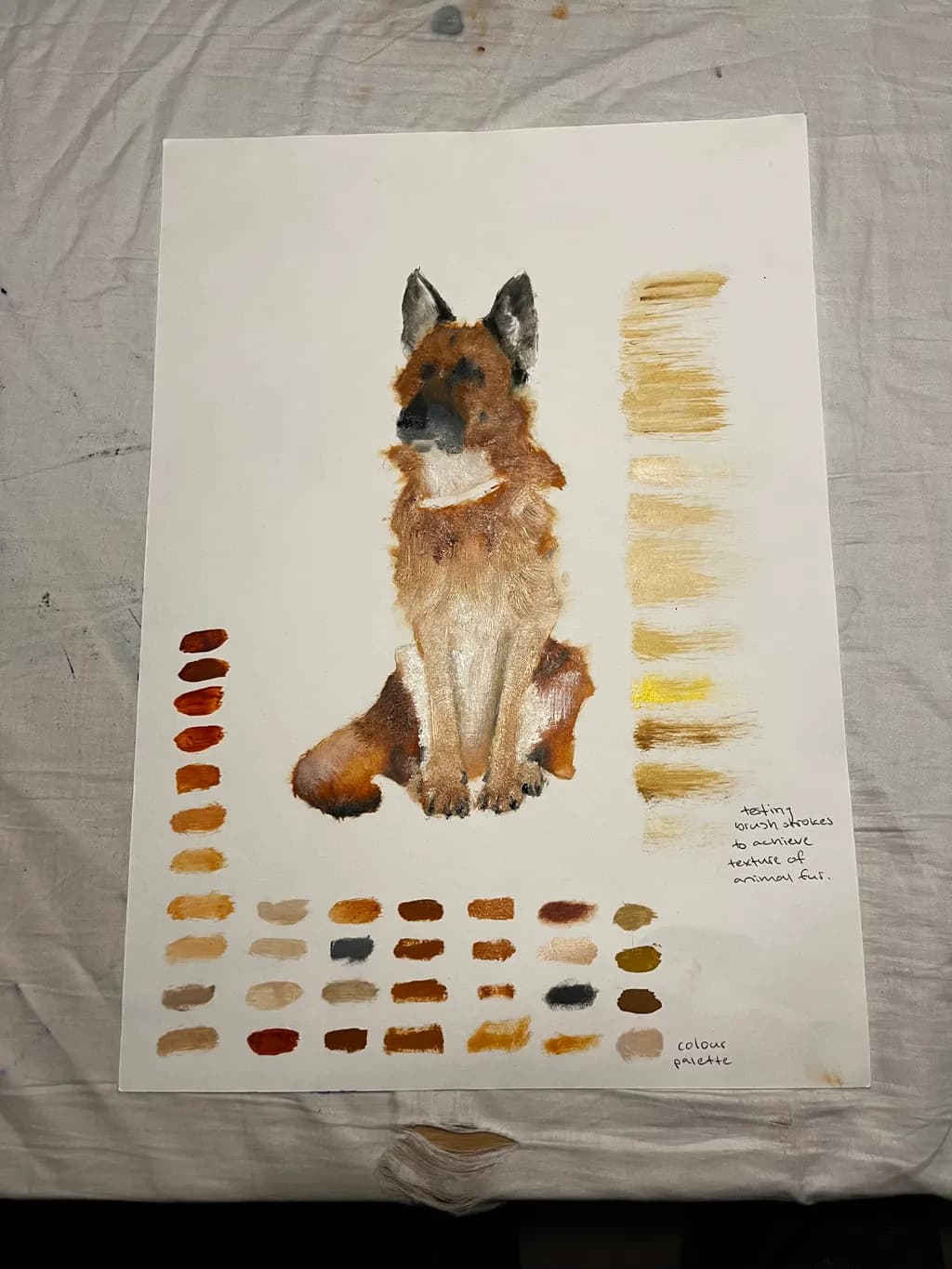German Shepherd Study