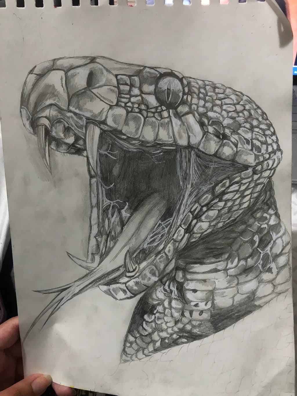 Venomous Snake Head