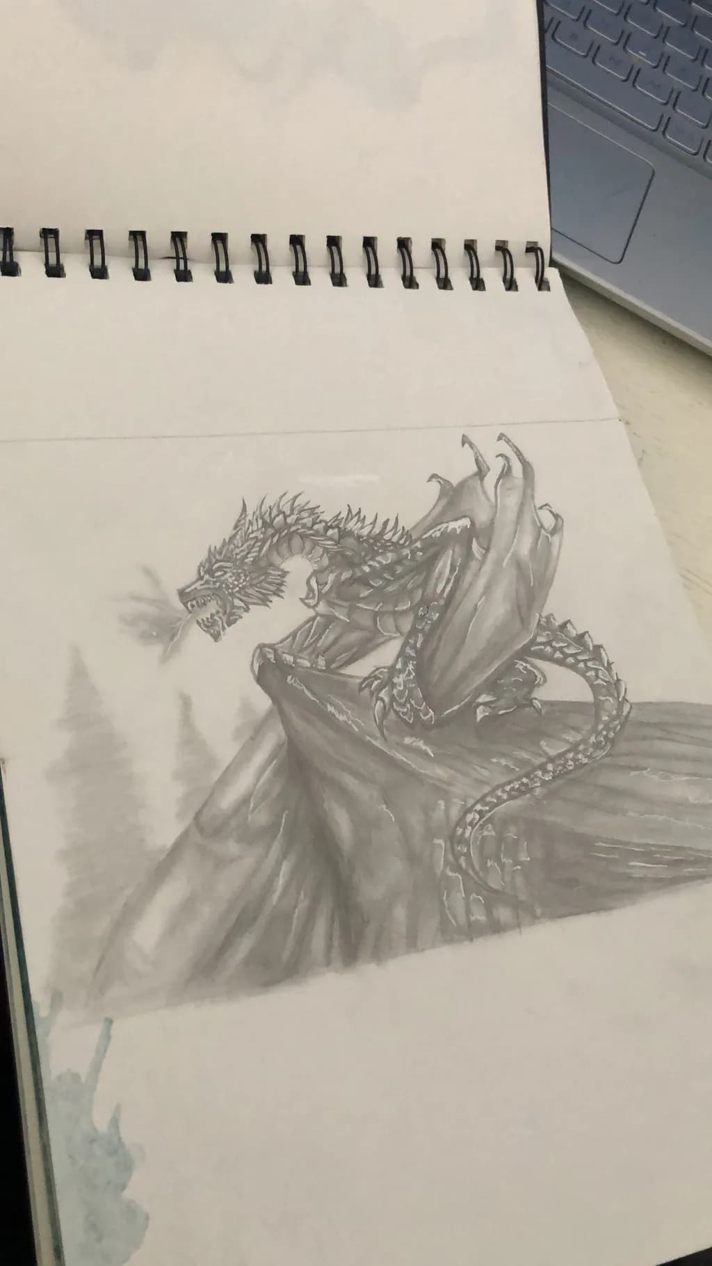 Dragon on Cliff Edge