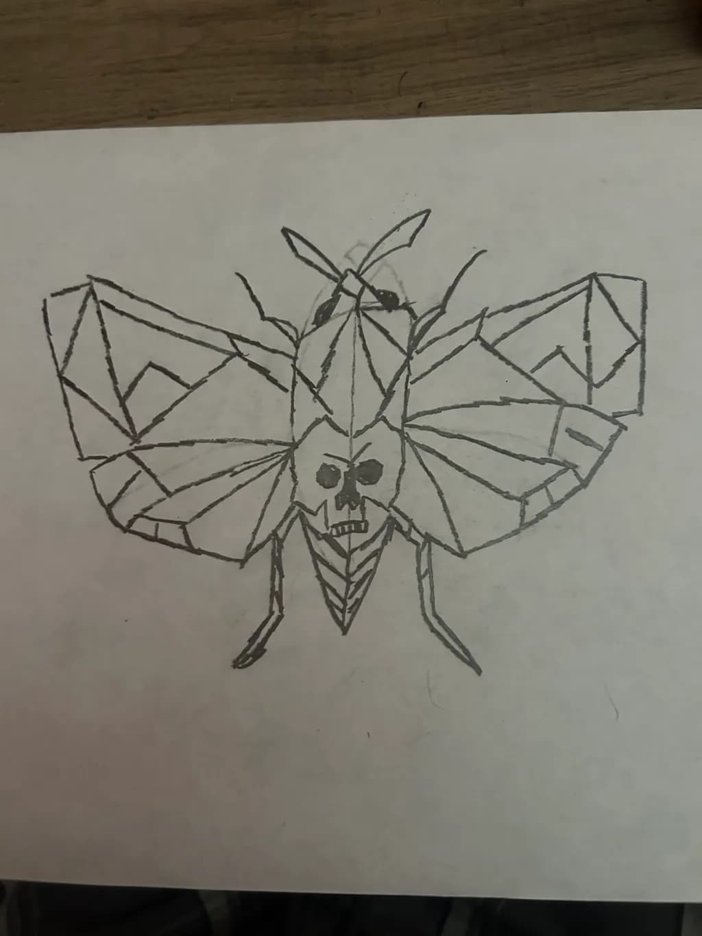 Geometric Moth Skull