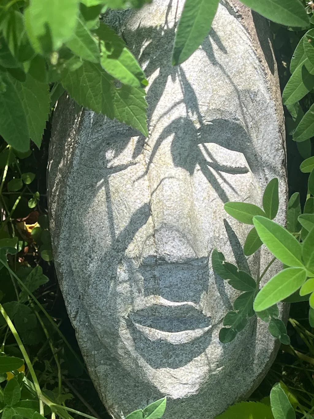 Stone Face in Leaves
