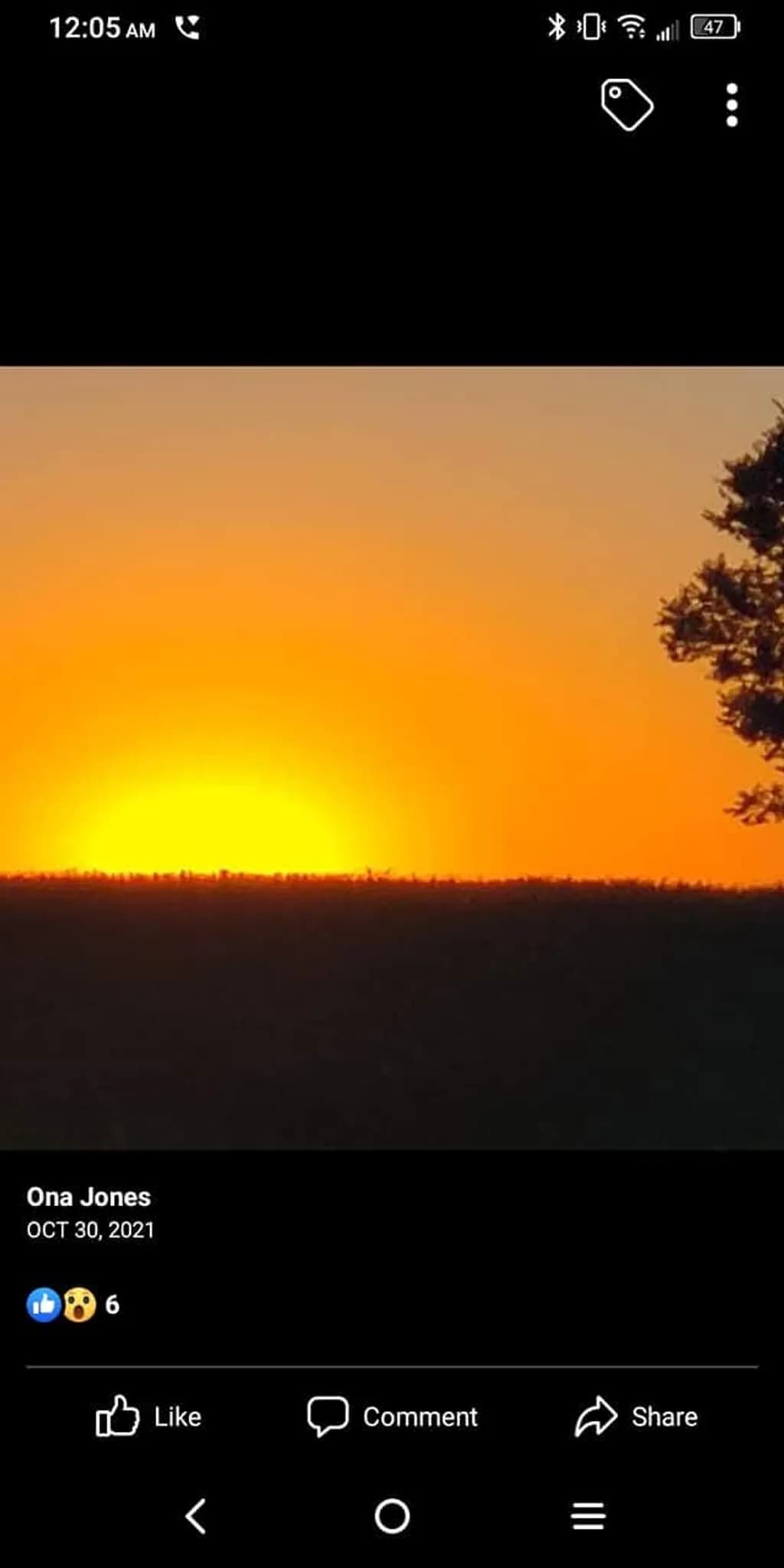 Sunset Horizon