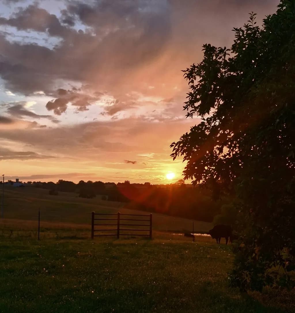 Sunset Pasture Glow