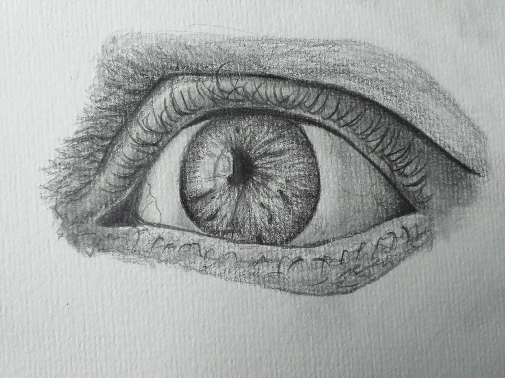 Detailed Eye Study