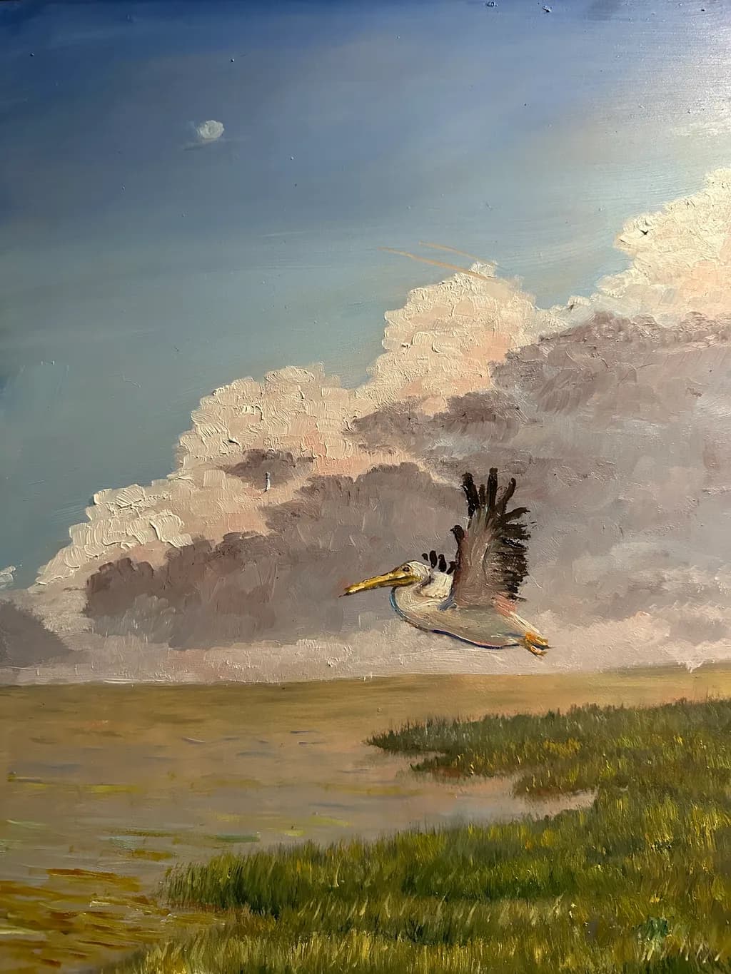 Pelican Over Marsh