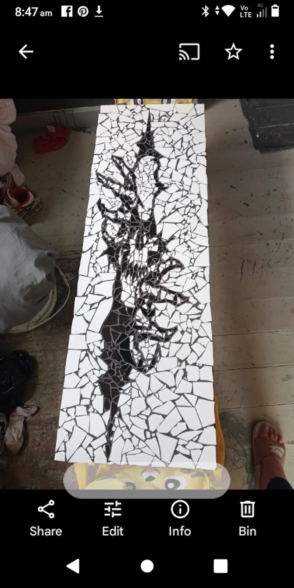 Broken Tile Mosaic