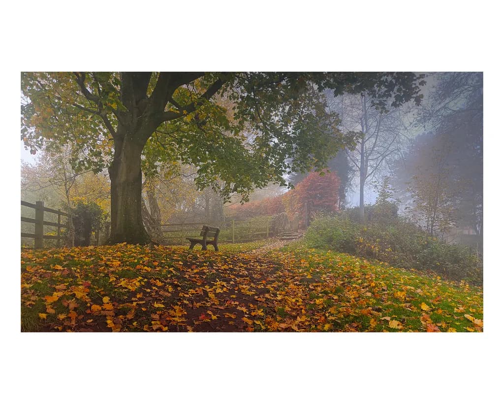 Autumn Pathway Bench