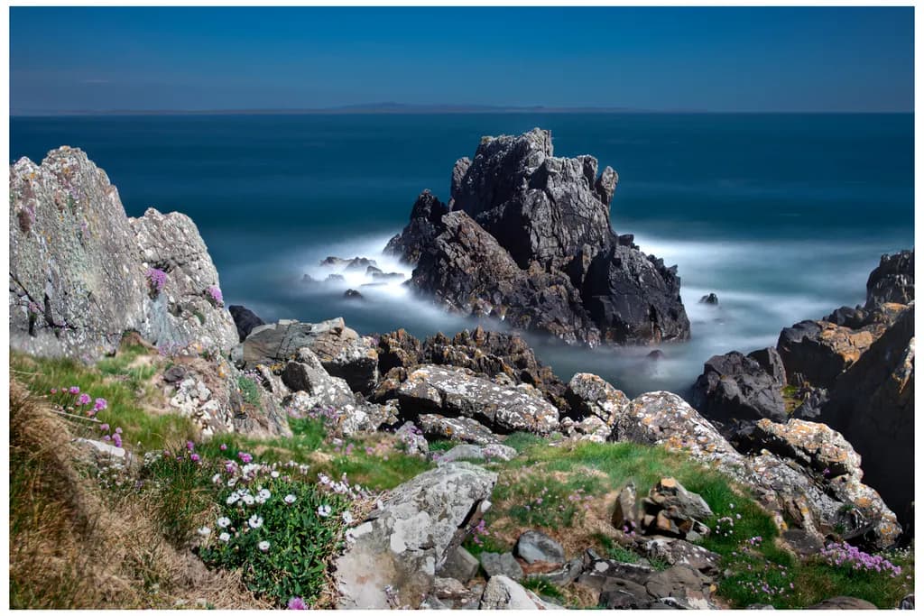 Rocky Coastline Bloom