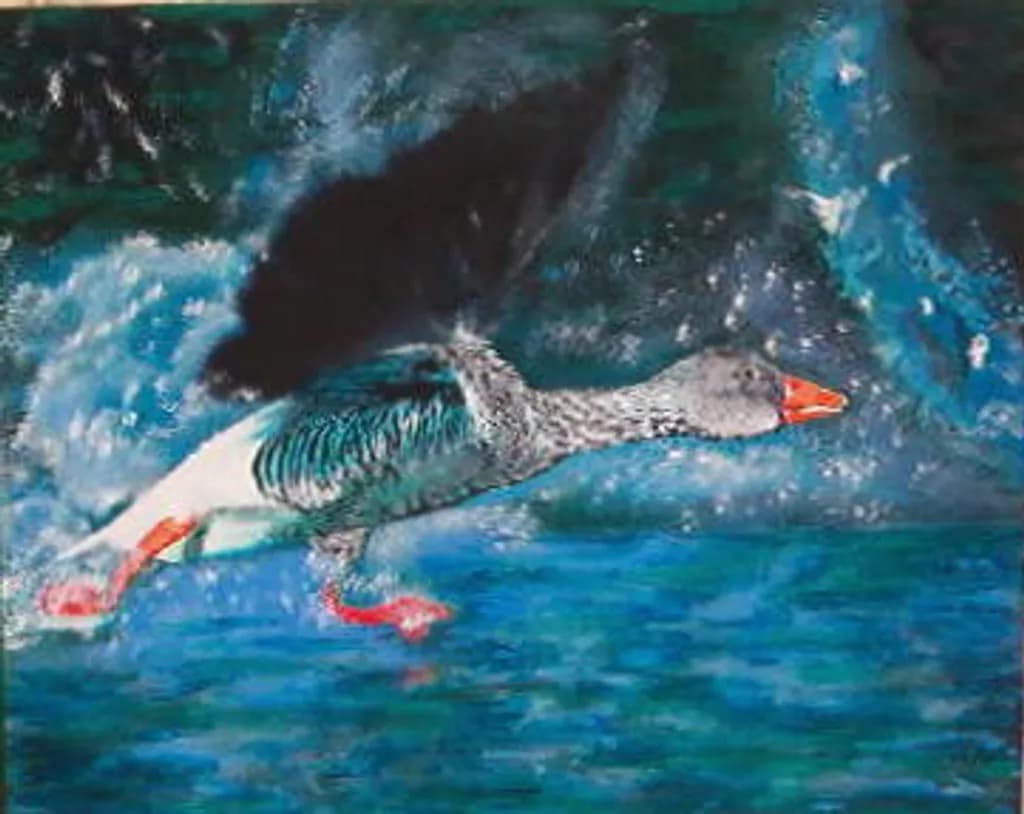 Graug Goose in Flight