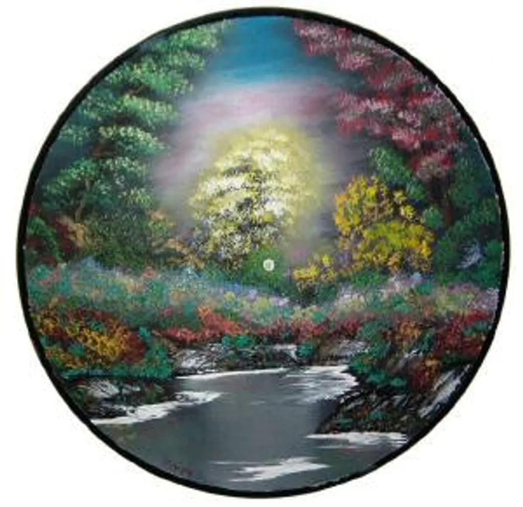 Luminous Forest creek