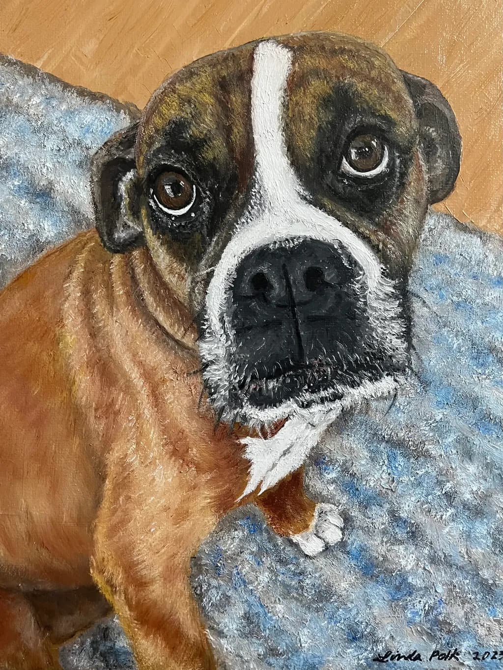 Boxer Portrait