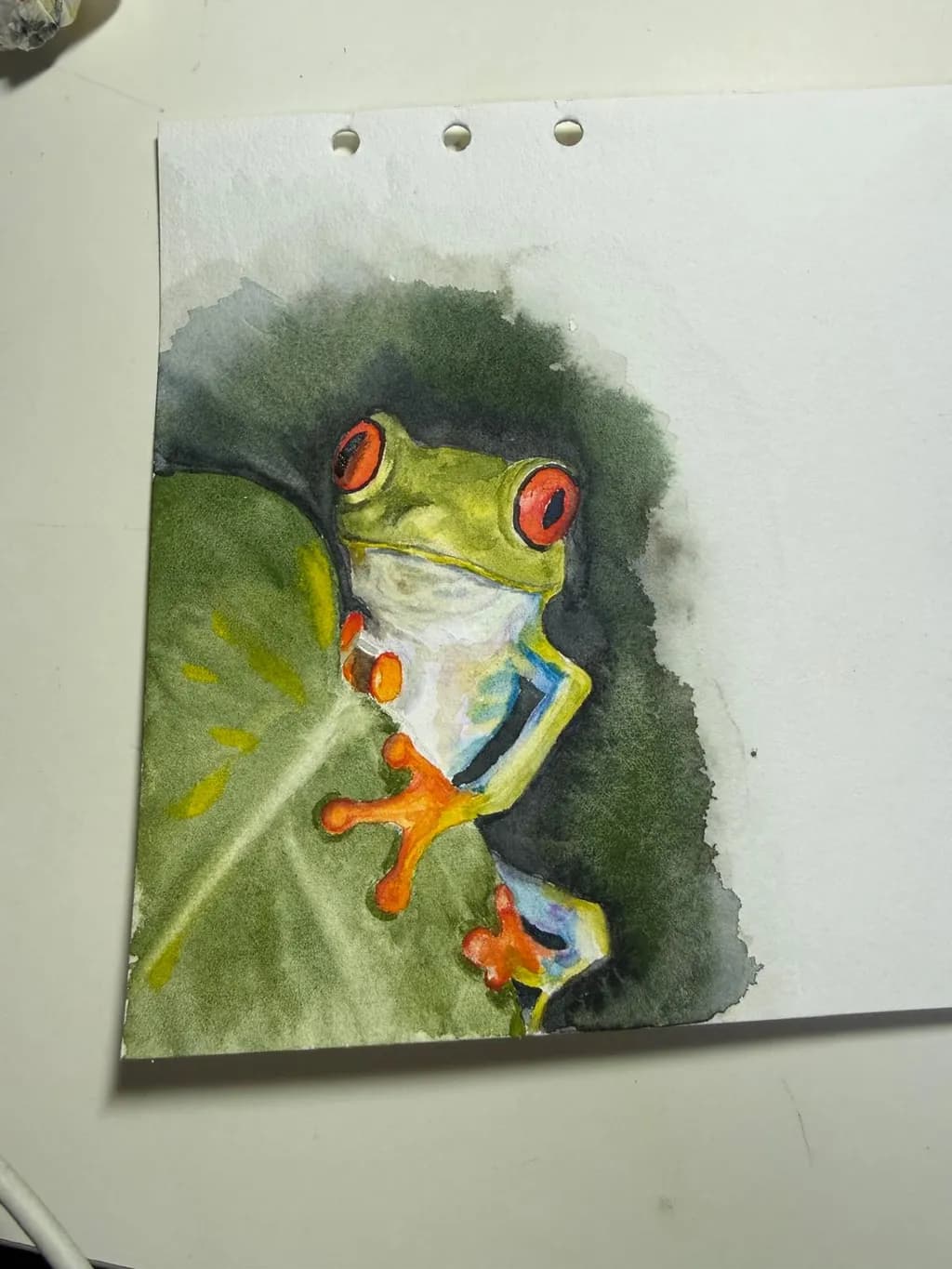 Red-Eyed Tree Frog