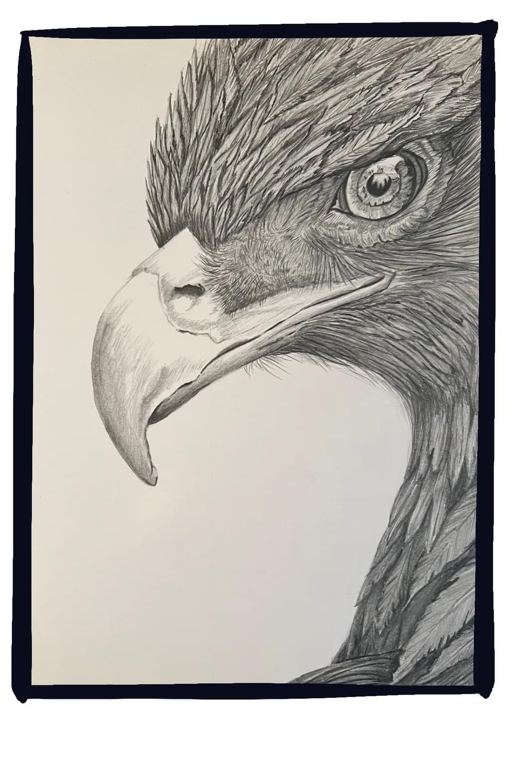 Eagle Gaze