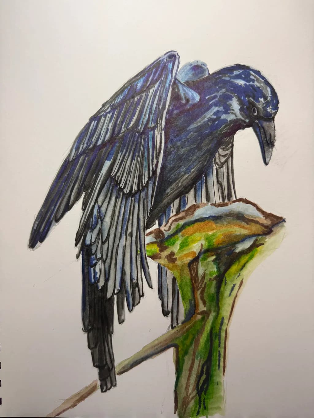 Blue Bird Perch
