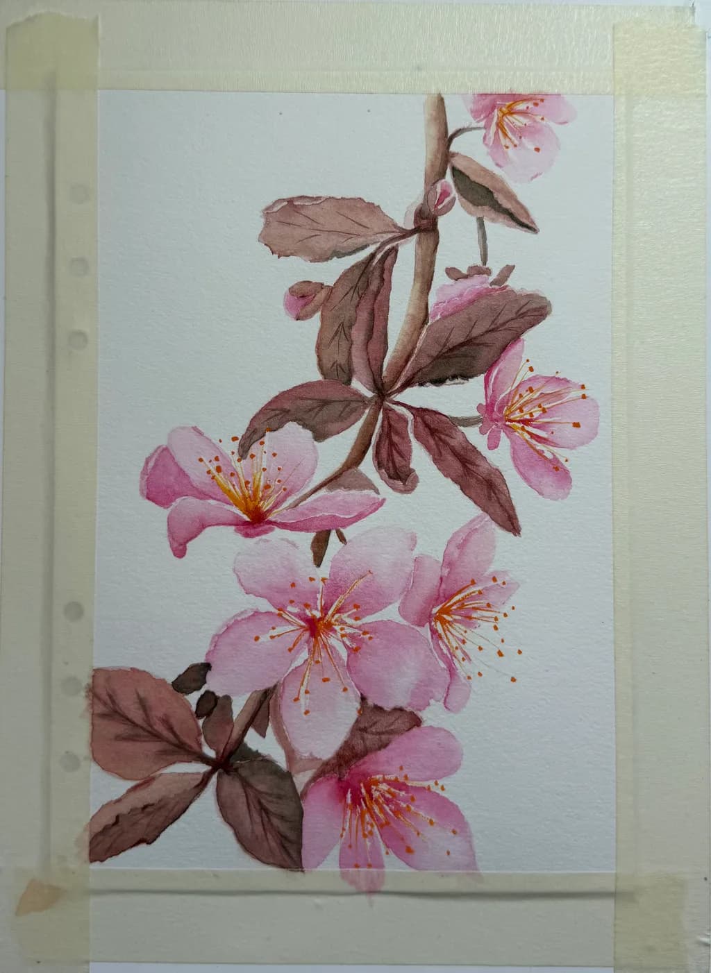 Cherry Blossom Branch