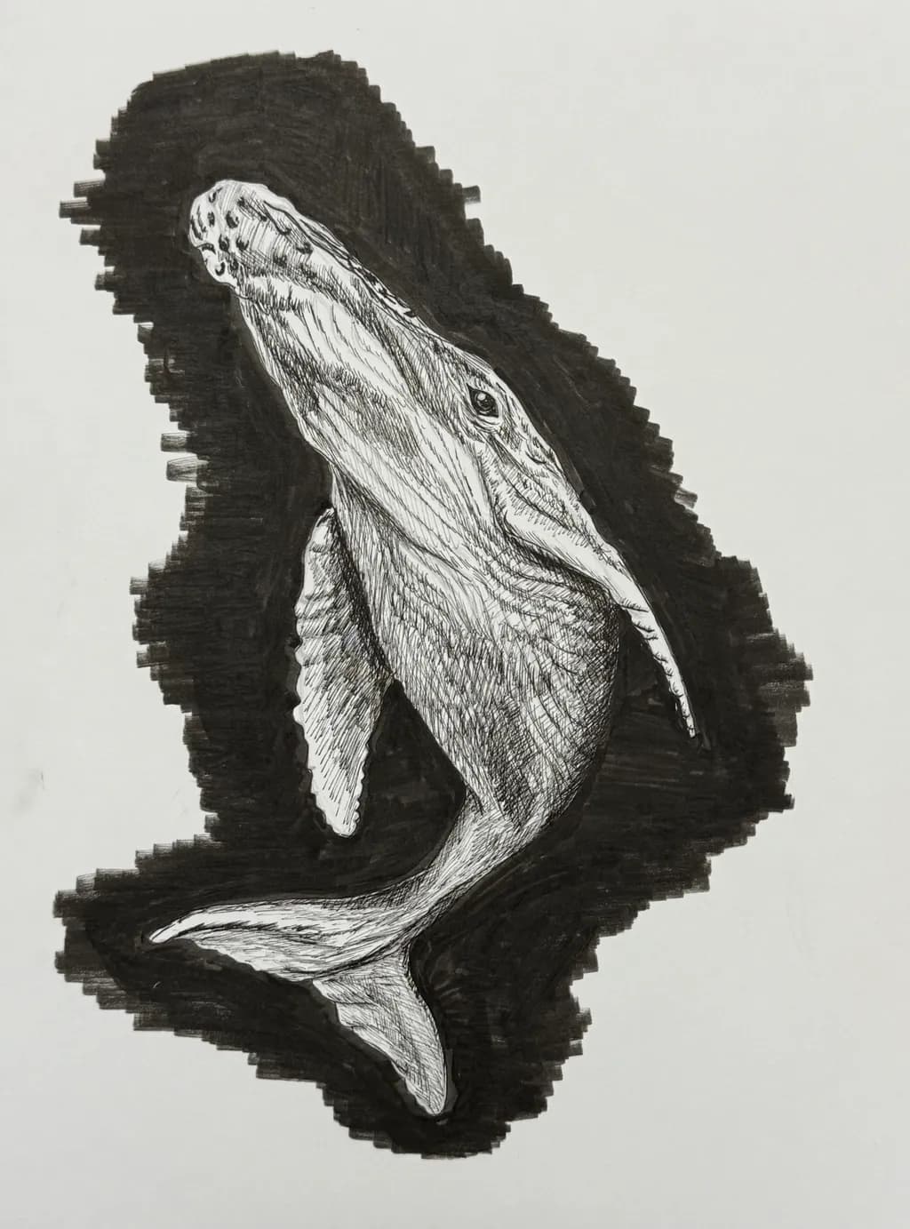 Whale Silhouette