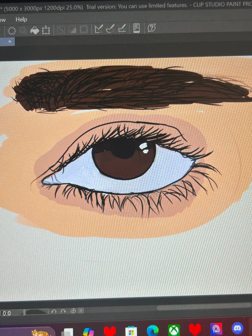 Brown Eye Sketch
