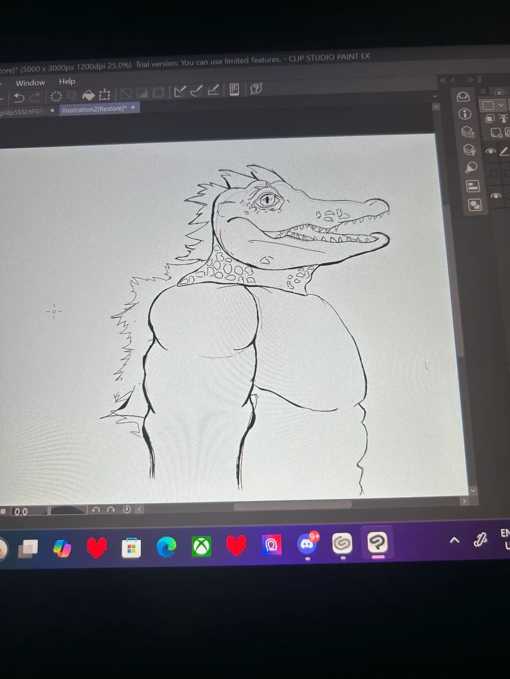 Muscular Alligator
