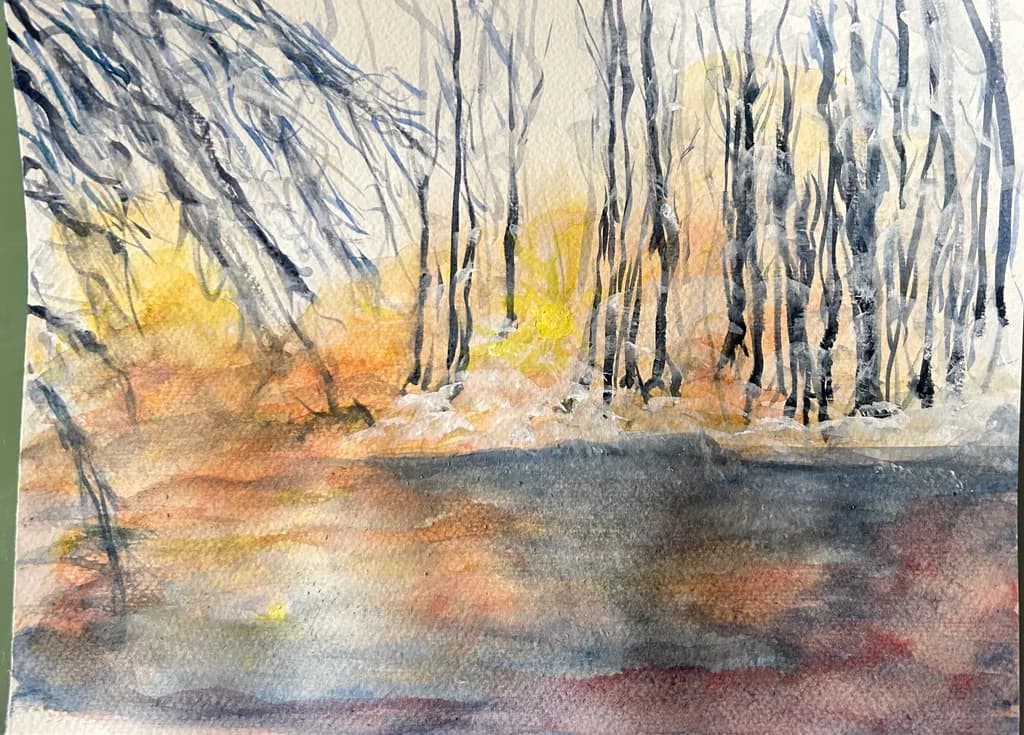 Winter Forest Glow