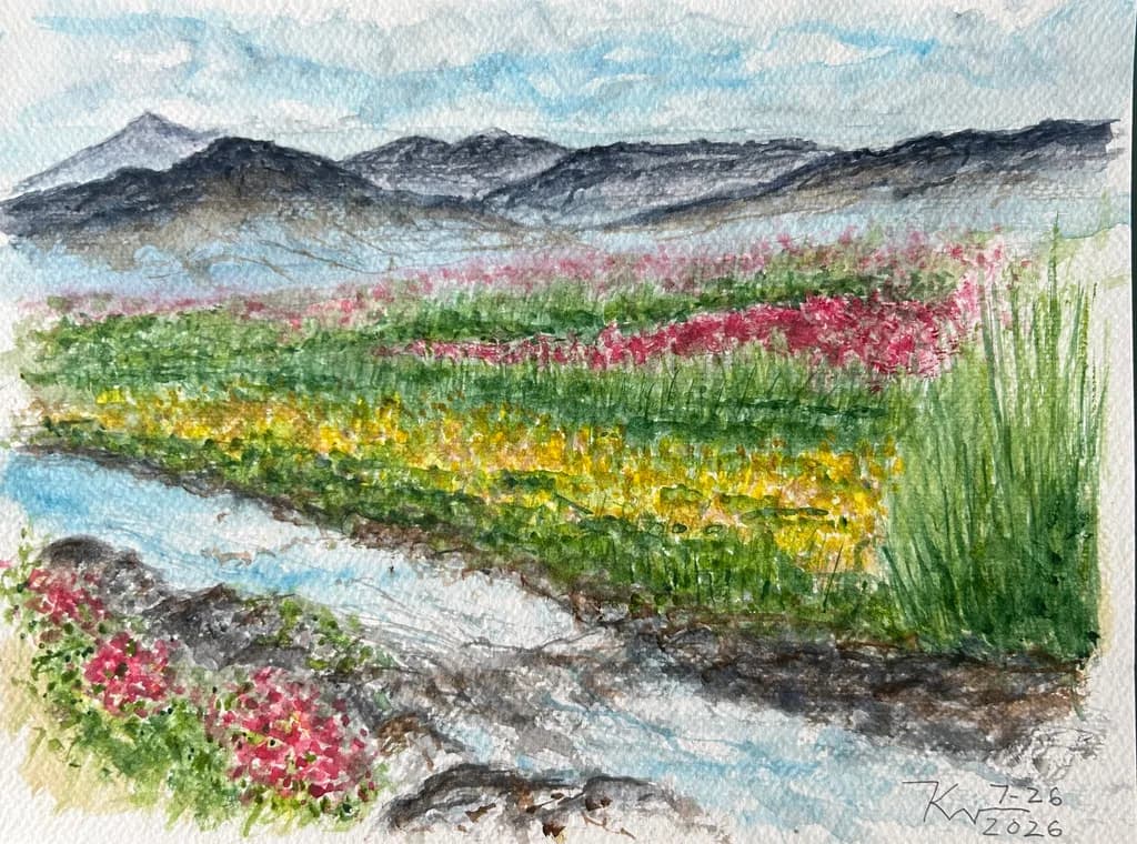 Mountain Stream Meadow