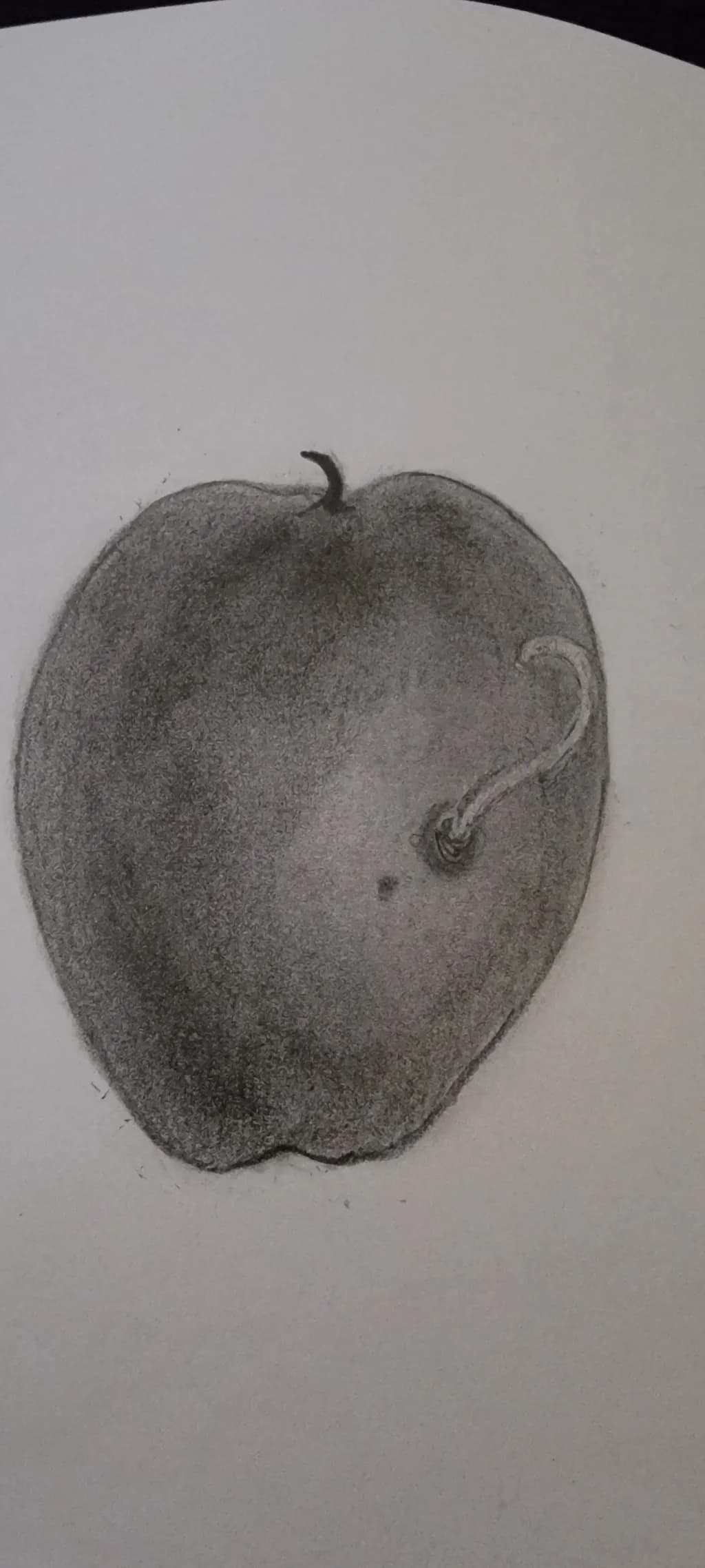 Apple Drawing