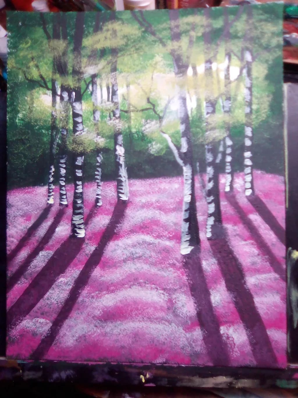 Spring Forest Shadows