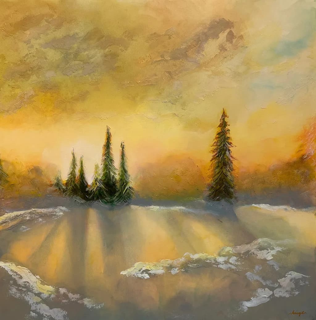 Winter Light on Evergreens