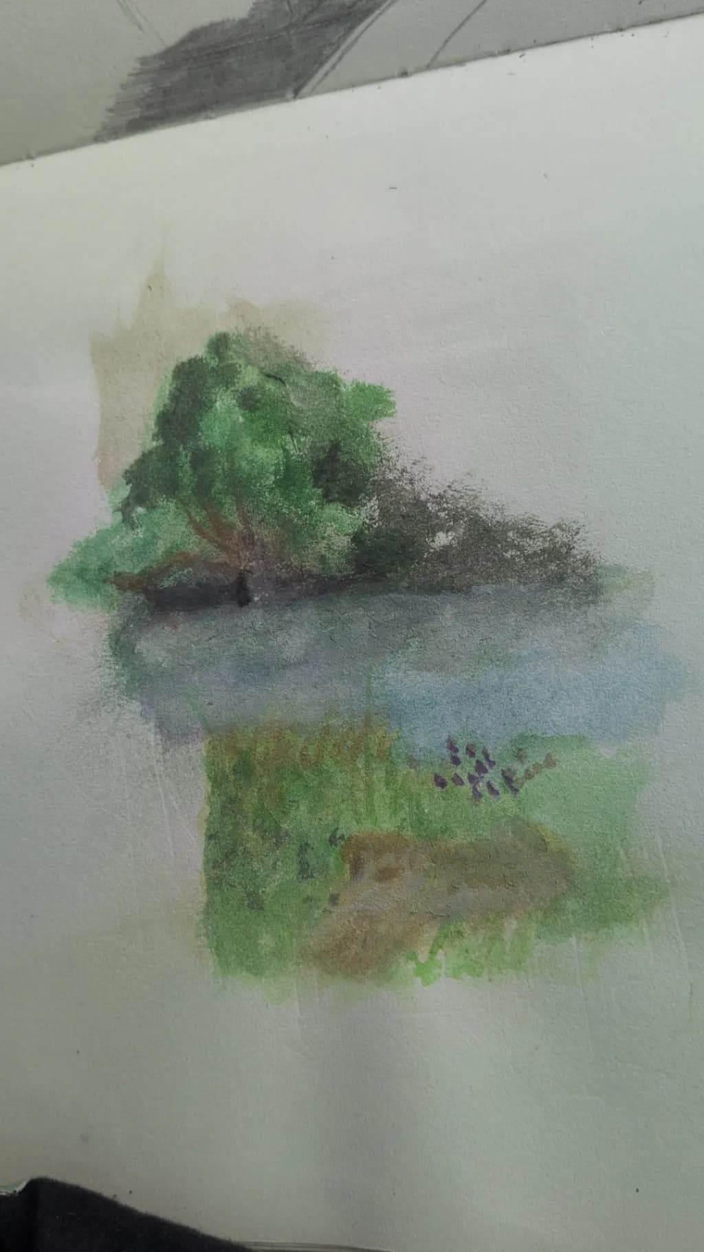 Tree by the Water