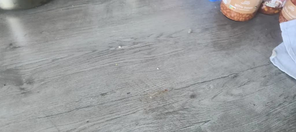 Wood Floor Texture