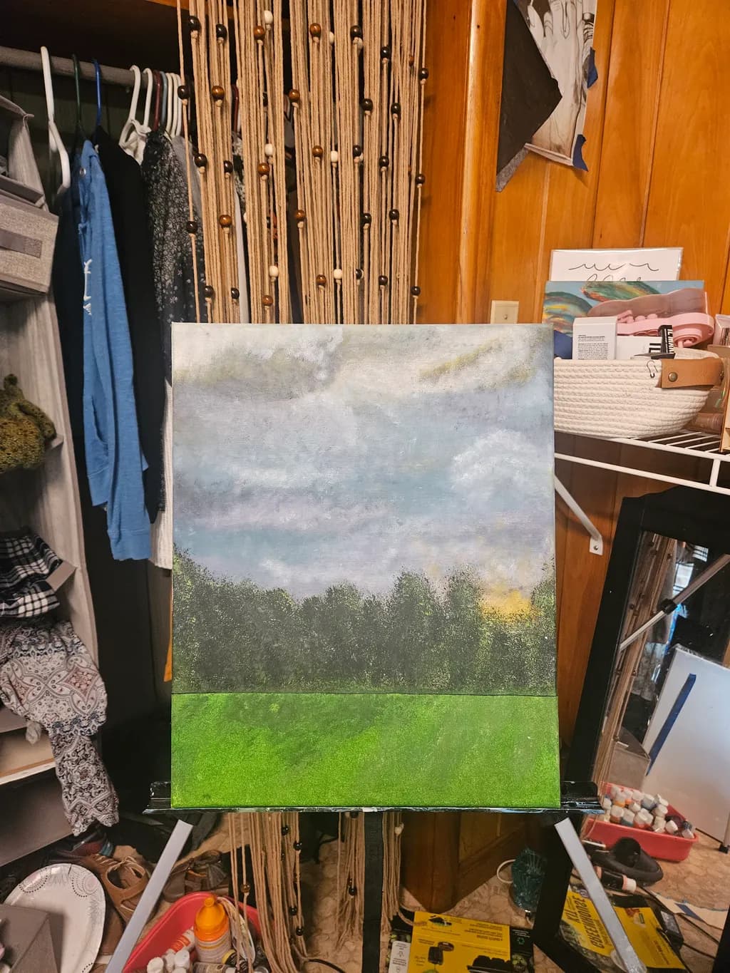 Cloudy Forest Edge