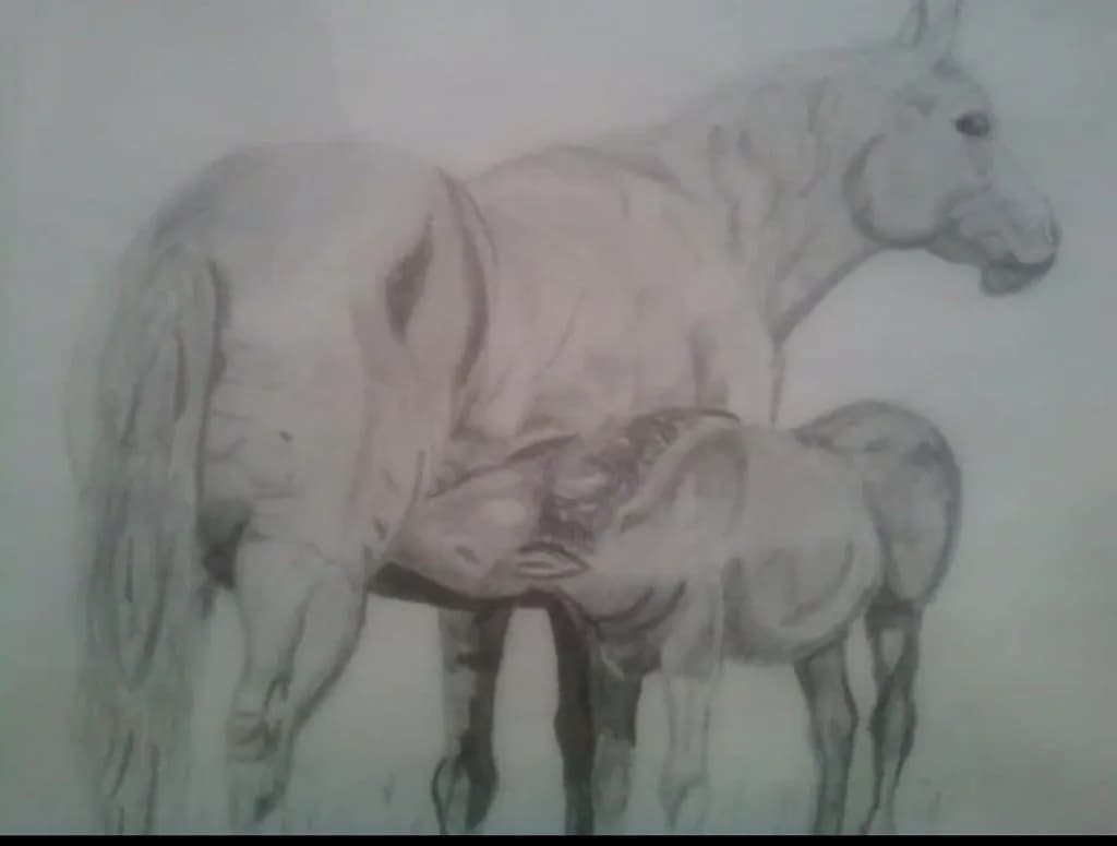 Horse and Foal Bond