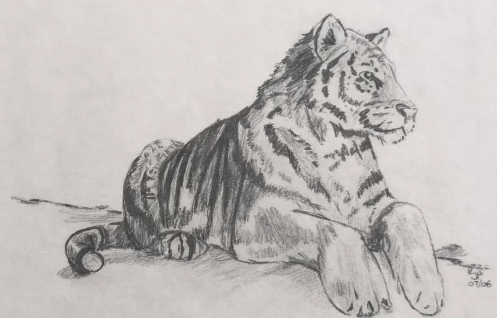 Resting Tiger