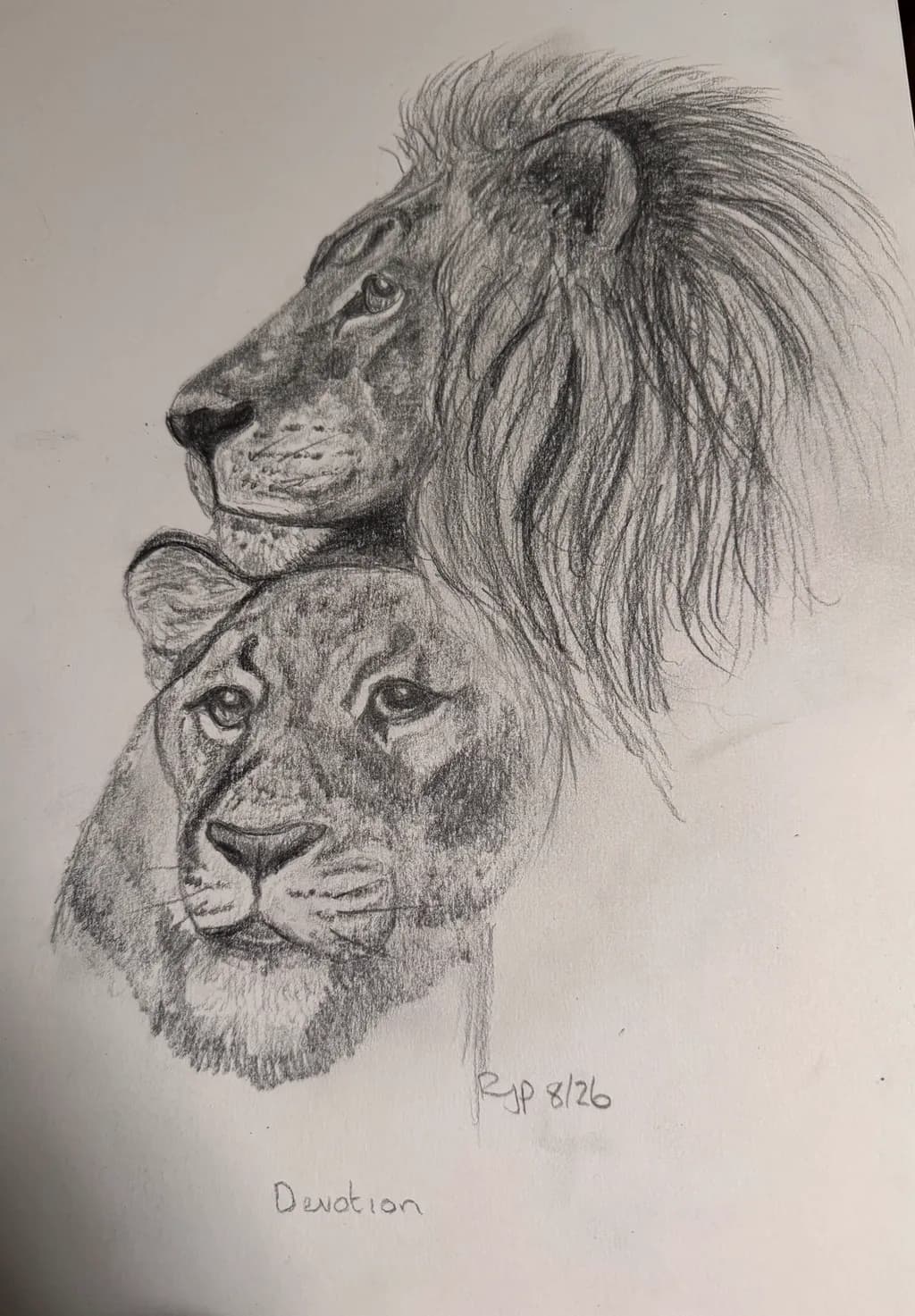 Lion Pair