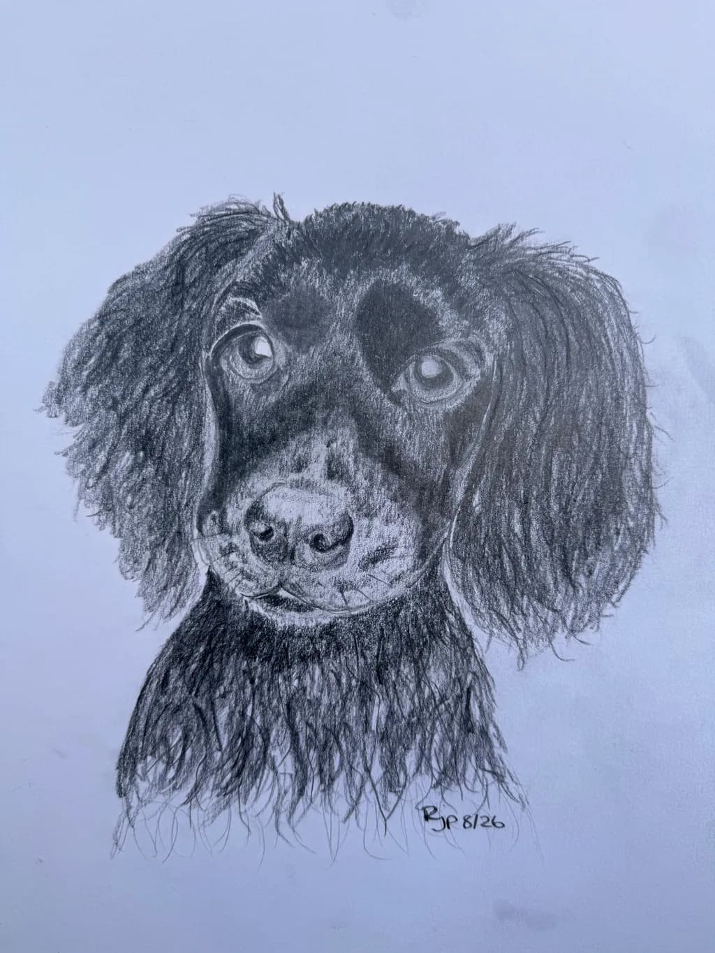 Shaggy Dog Portrait