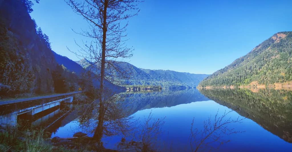 Lakeside Reflection