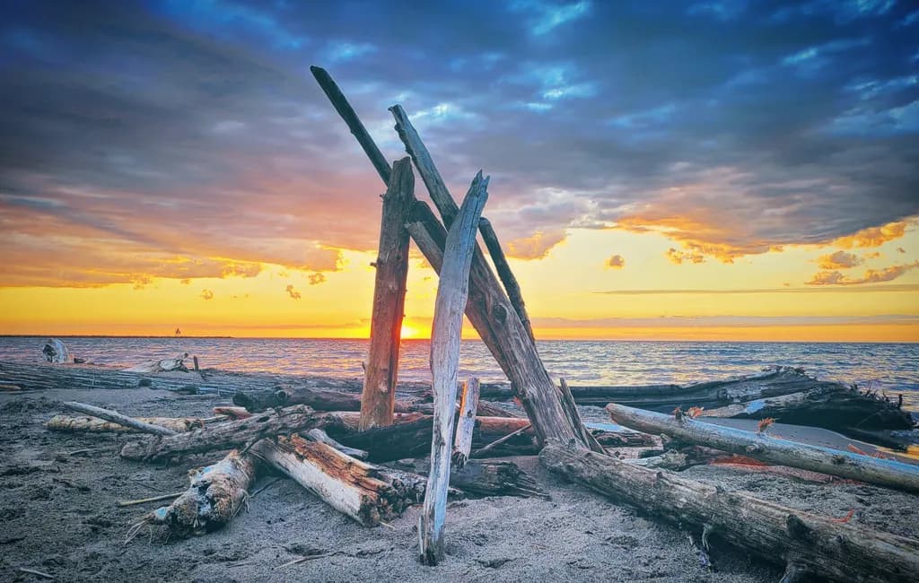 Driftwood Sunset